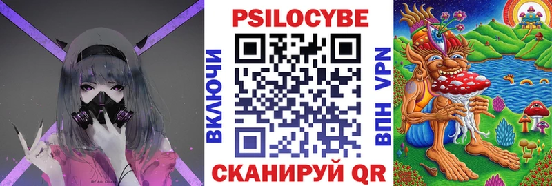 Псилоцибиновые грибы Cubensis где найти наркотики Каневская